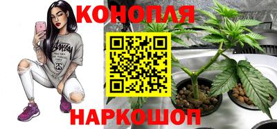 дживик Пенза