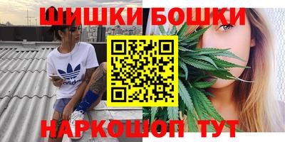 соль ск Партизанск