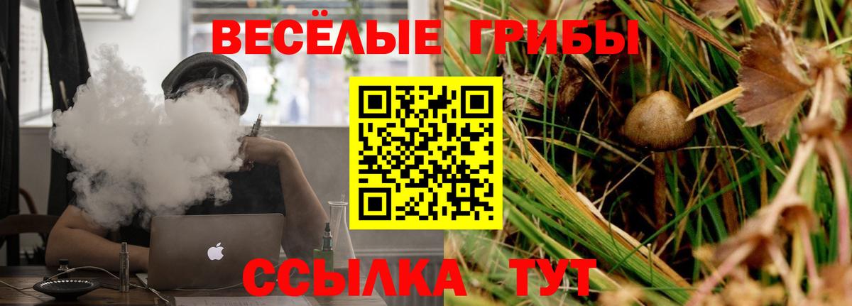 Галлюциногенные грибы Magic Shrooms Россия